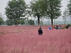 -汉长安城未央宫国家考古遗址公园