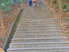 -福神岗公园
