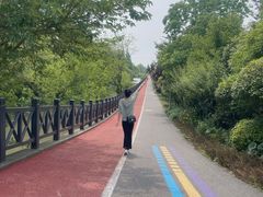 -上海长兴岛郊野公园