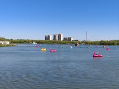 -大兴滨河森林公园