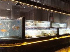 水产区-喜庭海鲜自助(北辰三角洲北辰荟店)