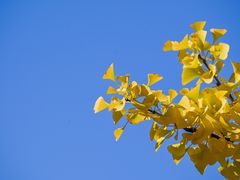 -野鸭湖国家湿地公园