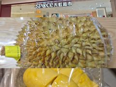 -坂田天虹