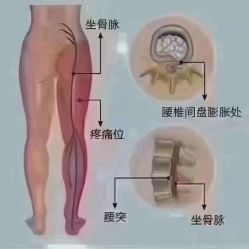 -天姿美容·美体科技SPA·艾姿美店