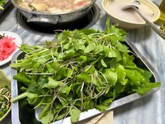 蔬菜-麒麟豆汤圆子火锅(川心小区店)