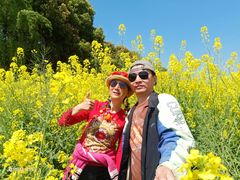 -浦星公路-路侧停车位