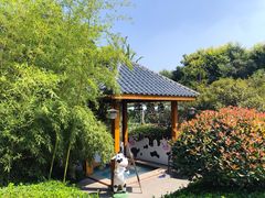 -郑州银基黄帝宫御温泉