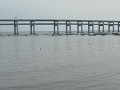 -星海湾跨海大桥