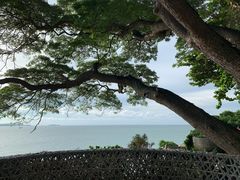 -网红落日悬崖餐厅 The Sky Gallery
