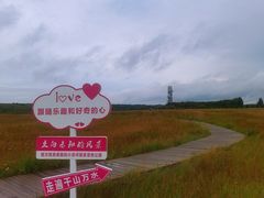 -御道口草原森林风景区