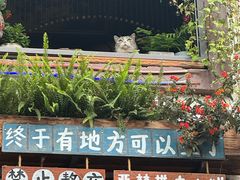 -磁器口古镇