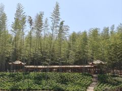 -宜兴龙背山森林公园