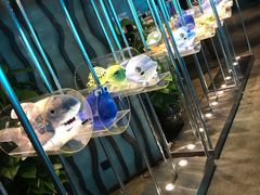 -海棠湾洲际-涛·海底餐厅·美人鱼·自助餐·海底隧道