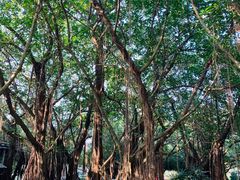 -北海市海滨公园