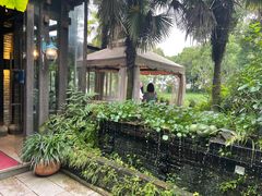 -野蔓果·山野菜(西湖景区·龙井茶田店)