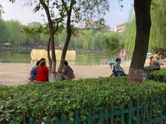 -莲湖公园