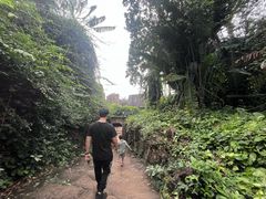 -海南热带野生动植物园