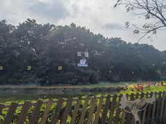 -广州长隆飞鸟乐园