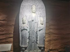-平原博物院