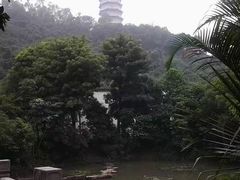 -深圳国际园林花卉博览园