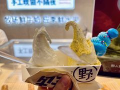 -野人先生现做冰淇淋(西安赛格店)