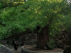 -晋祠公园