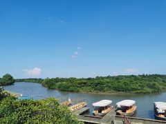 -东寨港红树林旅游区