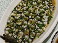 -呼吸森林·生态农庄农家乐私房菜