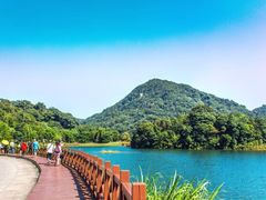 -广州市石门国家森林公园