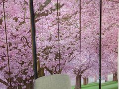-悦河马家庭桌游剧本馆(朝阳门店)