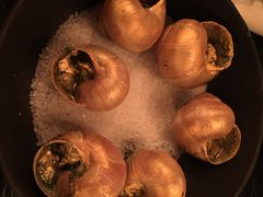 金蜗牛-金蜗牛