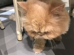 -小时光咖啡馆(开森度假森林店)