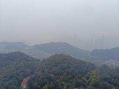-南山植物园