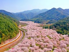 -天柱山风景区