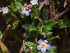 -白草畔自然风景区