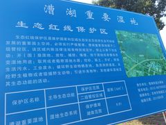 -漕湖湿地公园
