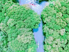 -动邦皮划艇·桨板·独木舟·团建户外运动俱乐部