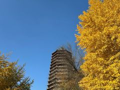 -玲珑塔公园