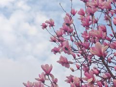 -苏州吴中太湖旅游区