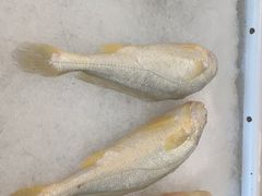 -蓝珊甄选海鲜自助·火锅大排档(近阿那亚店)