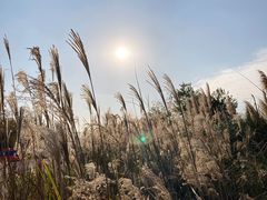 -上海山野camping·户外天幕烧烤·团建拓展营地