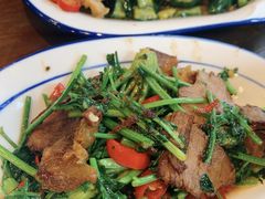 香菜卤牛肉-刘氏三和面馆