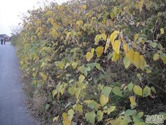 DSC03508-苏州太湖牛仔风情度假村