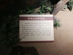 -岳阳市博物馆