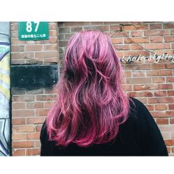 -SALON V