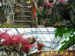 -天目湖山水园