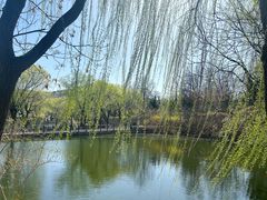 -石家庄市动物园