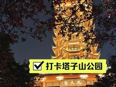 -塔子山公园