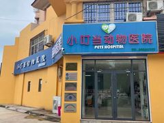 -小叮当动物医院·骨科·眼科