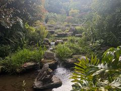 -腾冲洞山温泉村